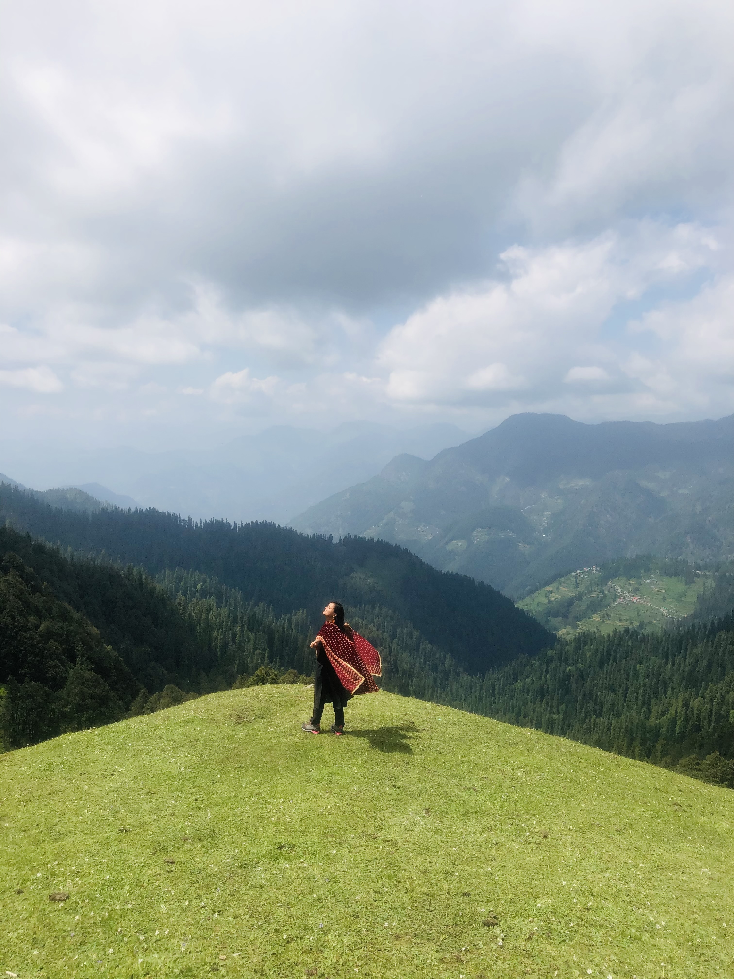 Guided trek through the forest with a view of the big mountain peaks in the distance